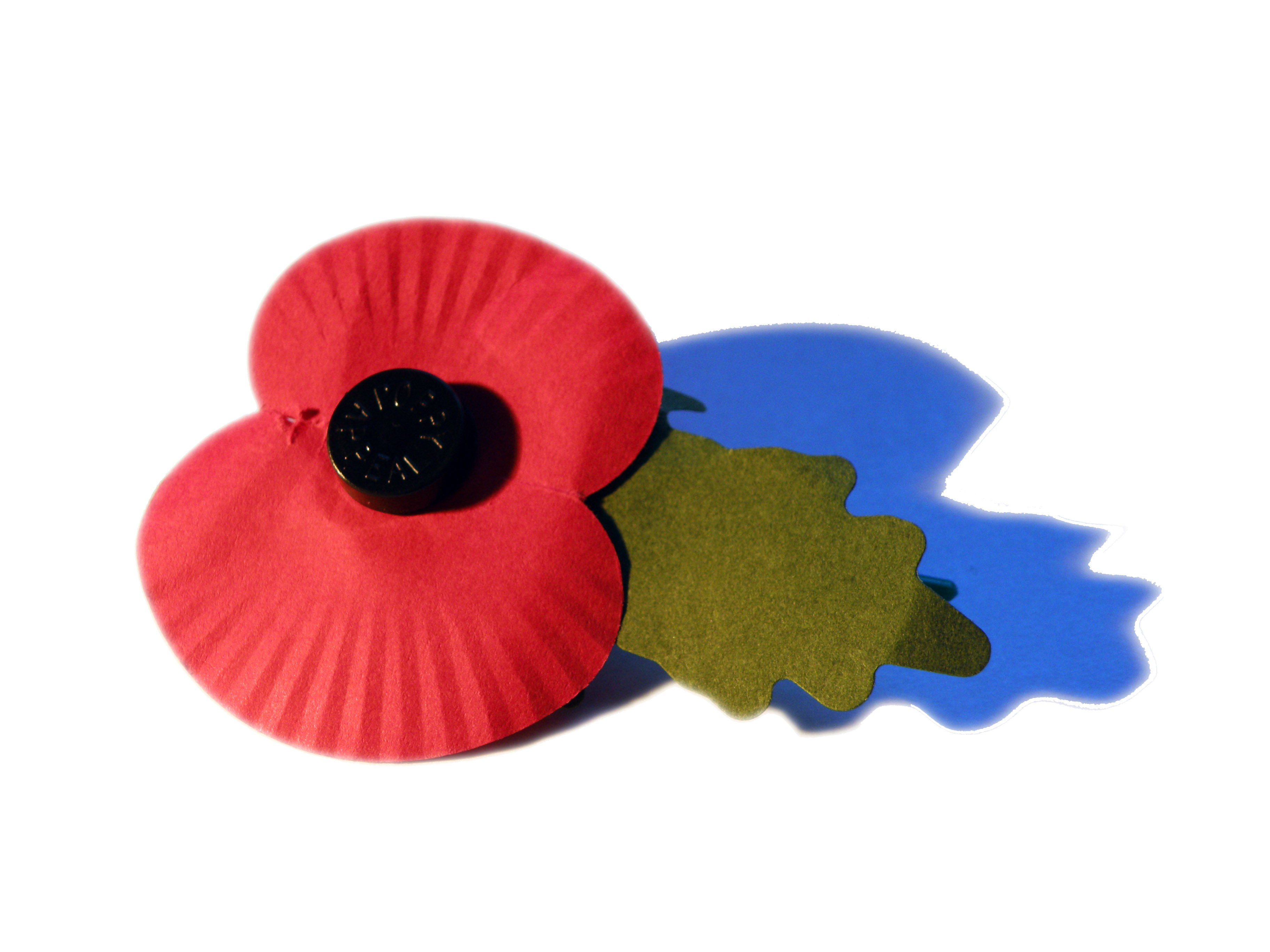 Royal British Legion’s Poppy Appeal sees online giving boost amid Covid